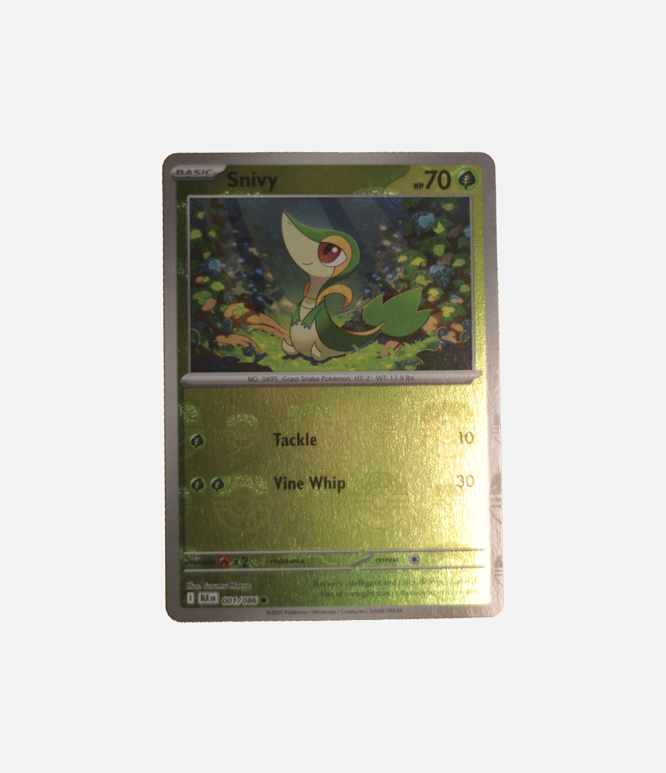 Snivy (xBLK 001) C-ENG-1
