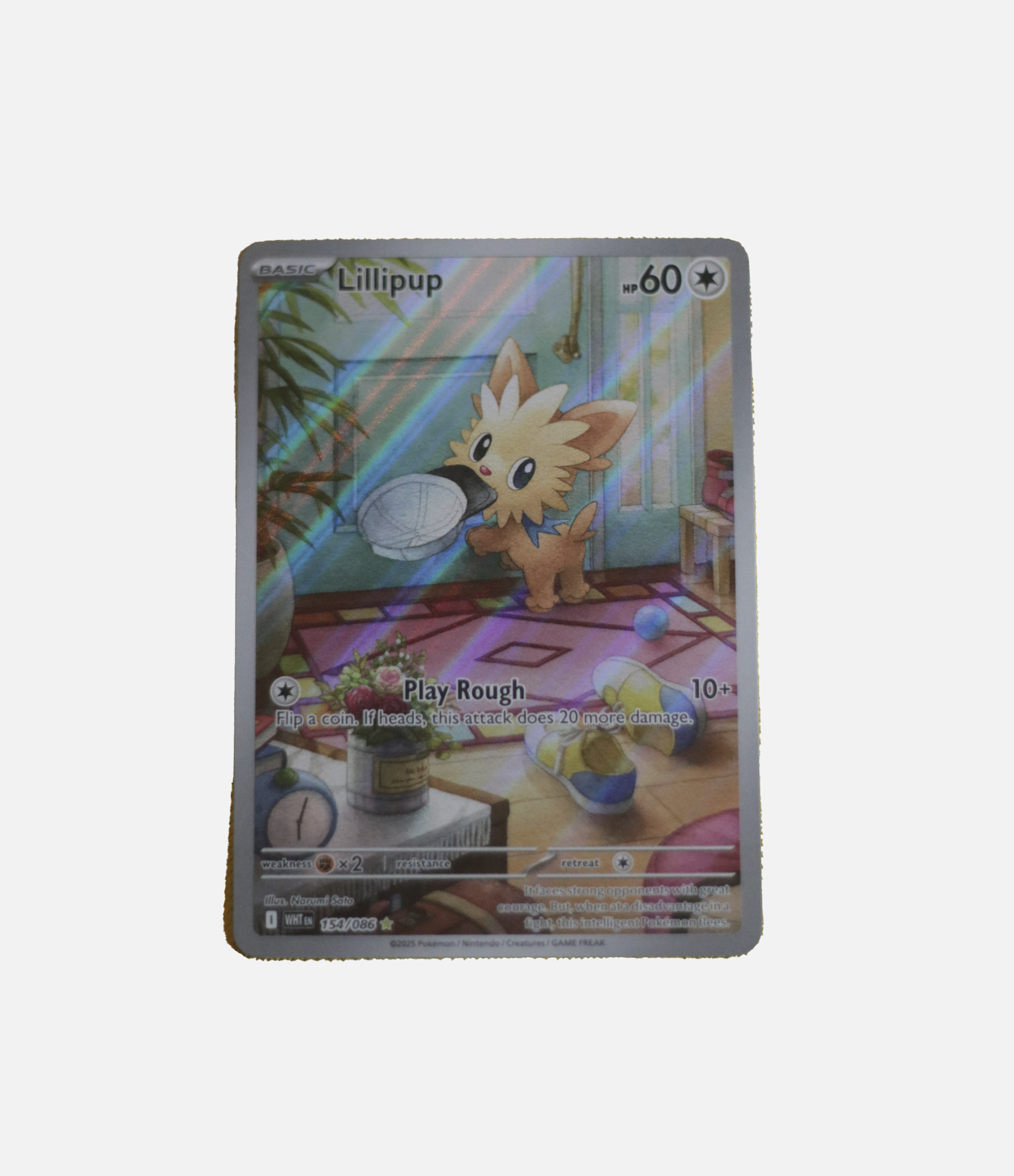Lillipup (WHT 154) C-ENG-2