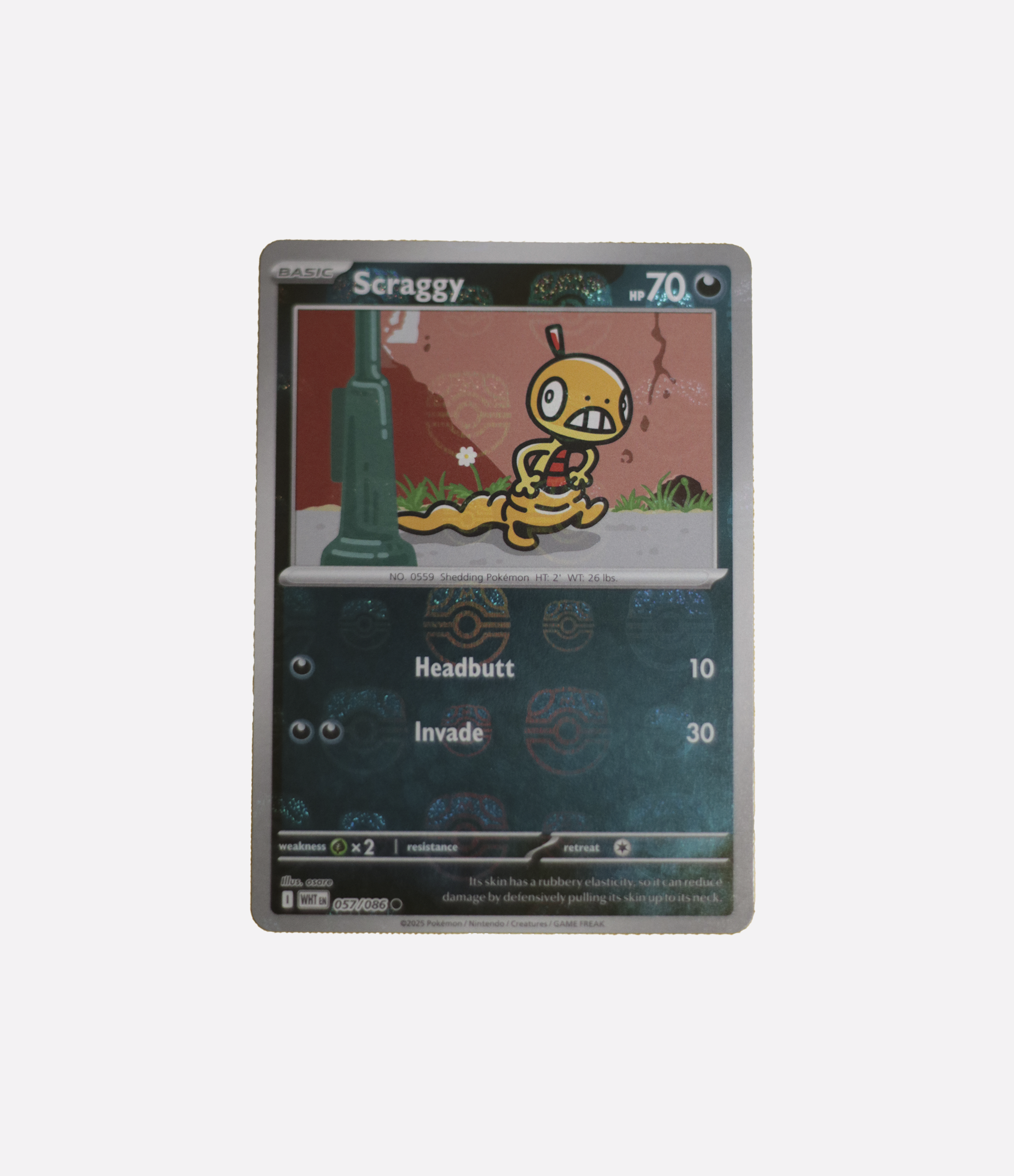 Scraggy (xWHT 057) C-ENG-1