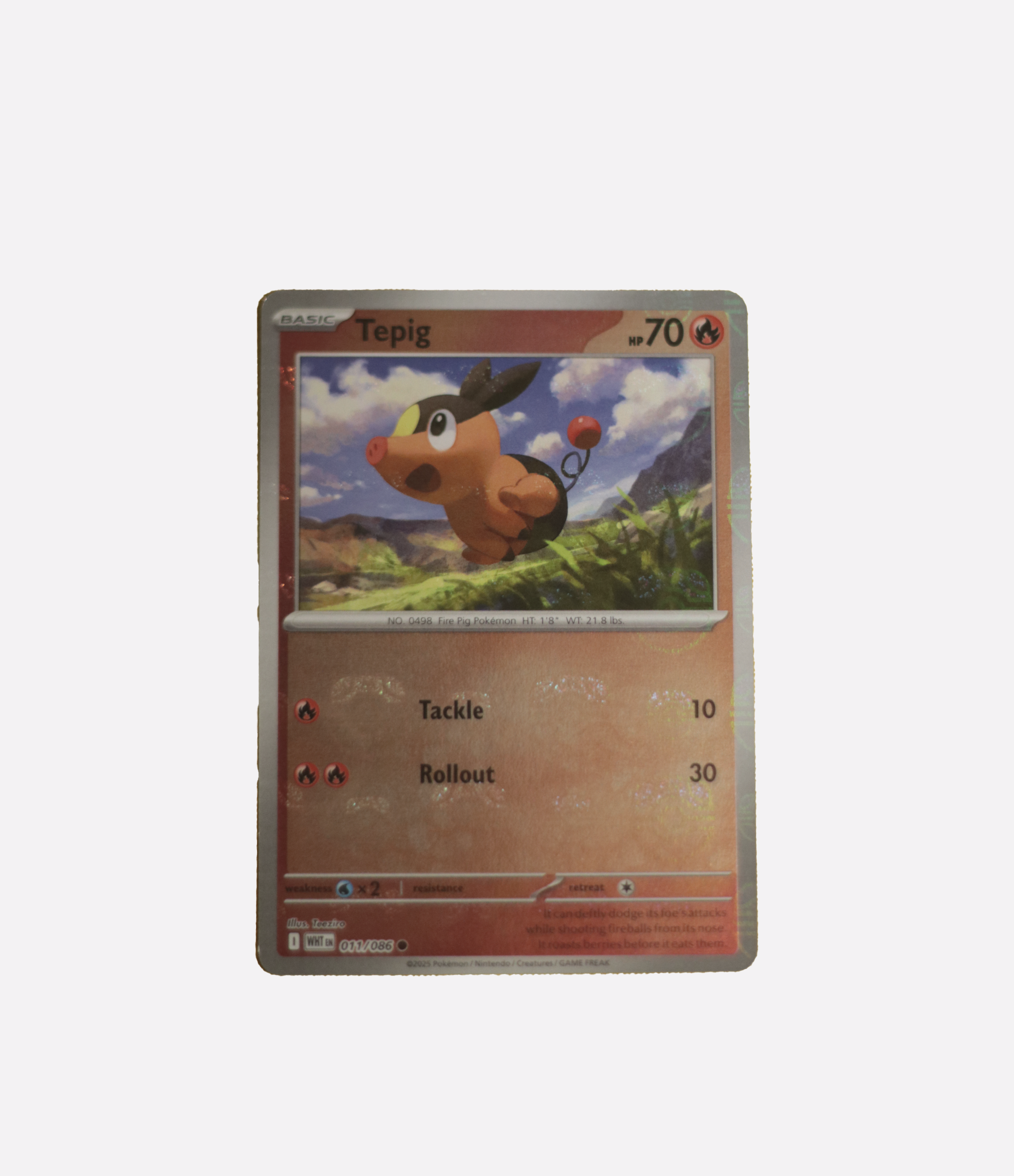 Tepig (xWHT 011) C-ENG-1