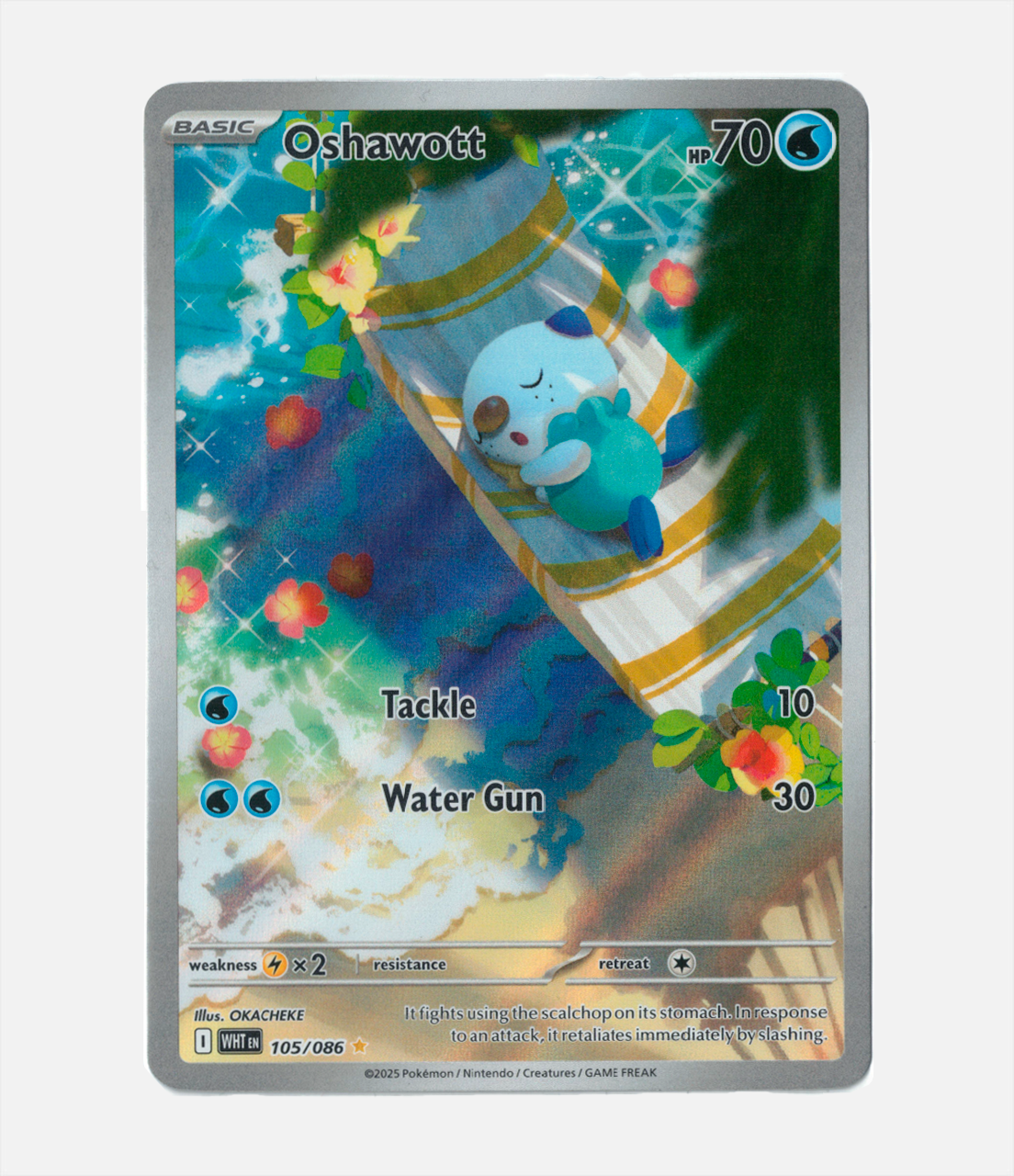 Oshawott (WHT 105) C-ENG-2