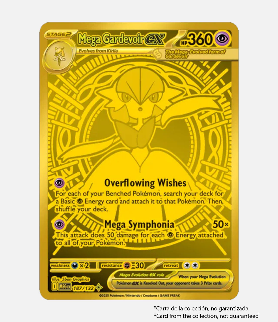 Mega Kangashkhan Ex box ENG