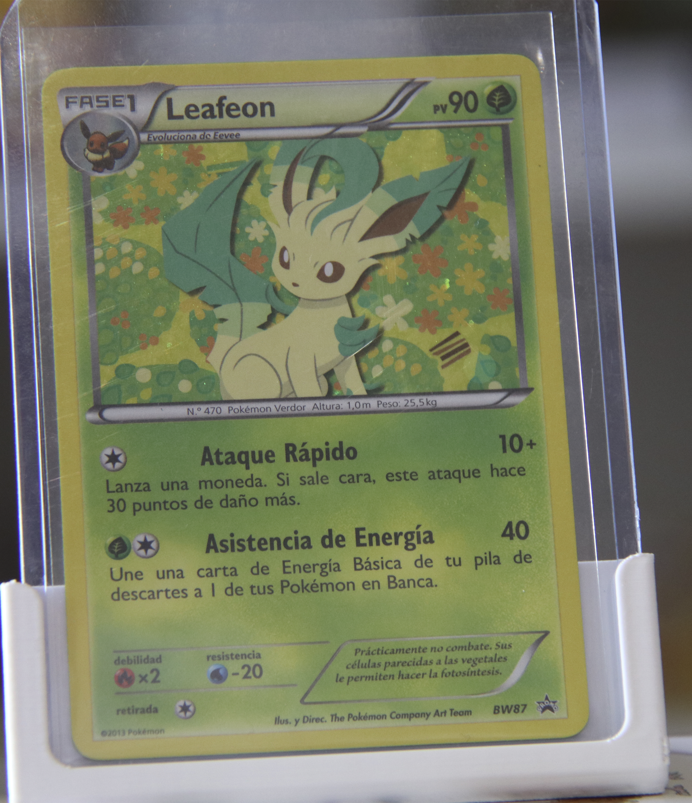 Leafeon (BW 87)