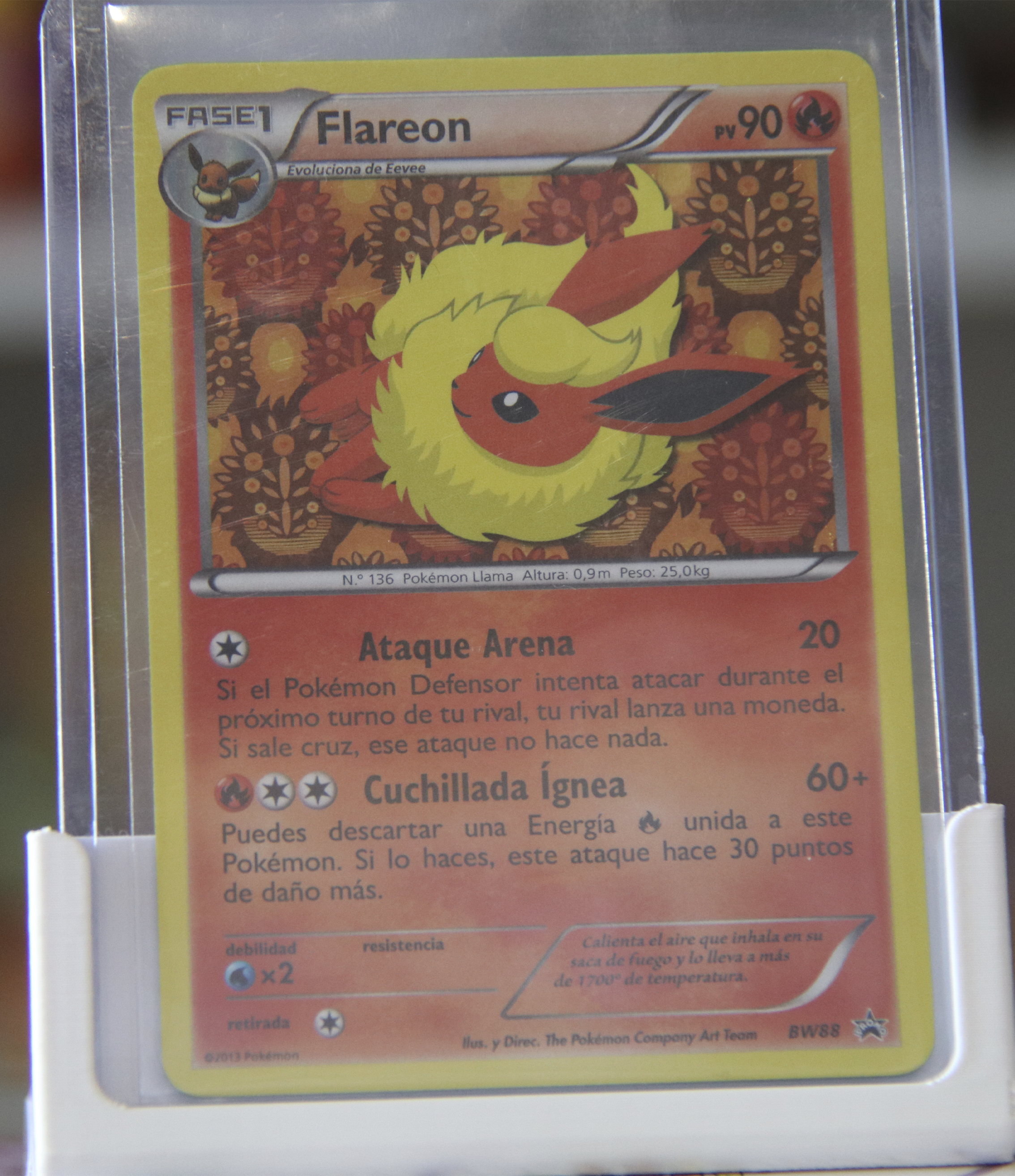 Flareon (BW 88)