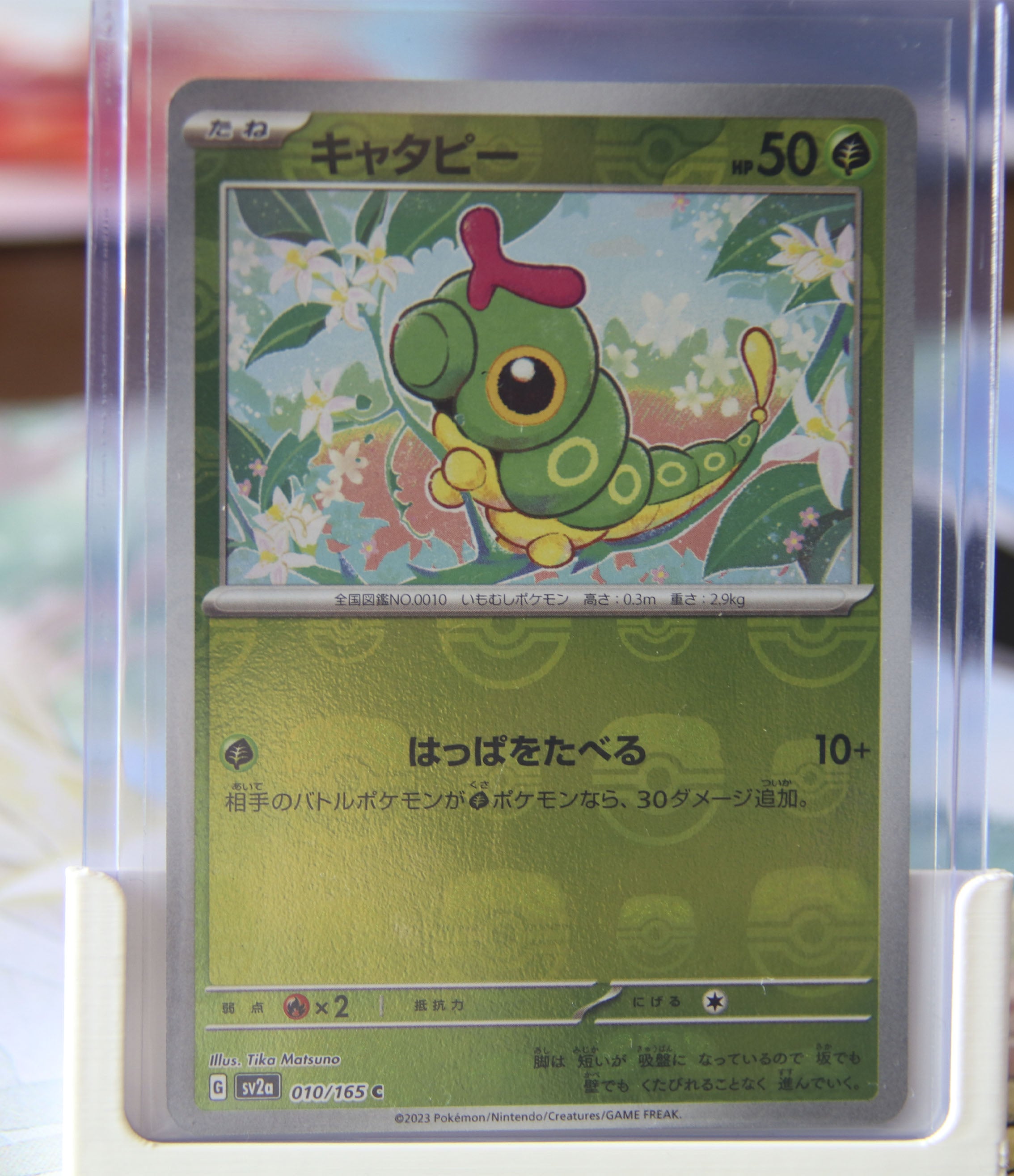 Caterpie (xsv2a 010)