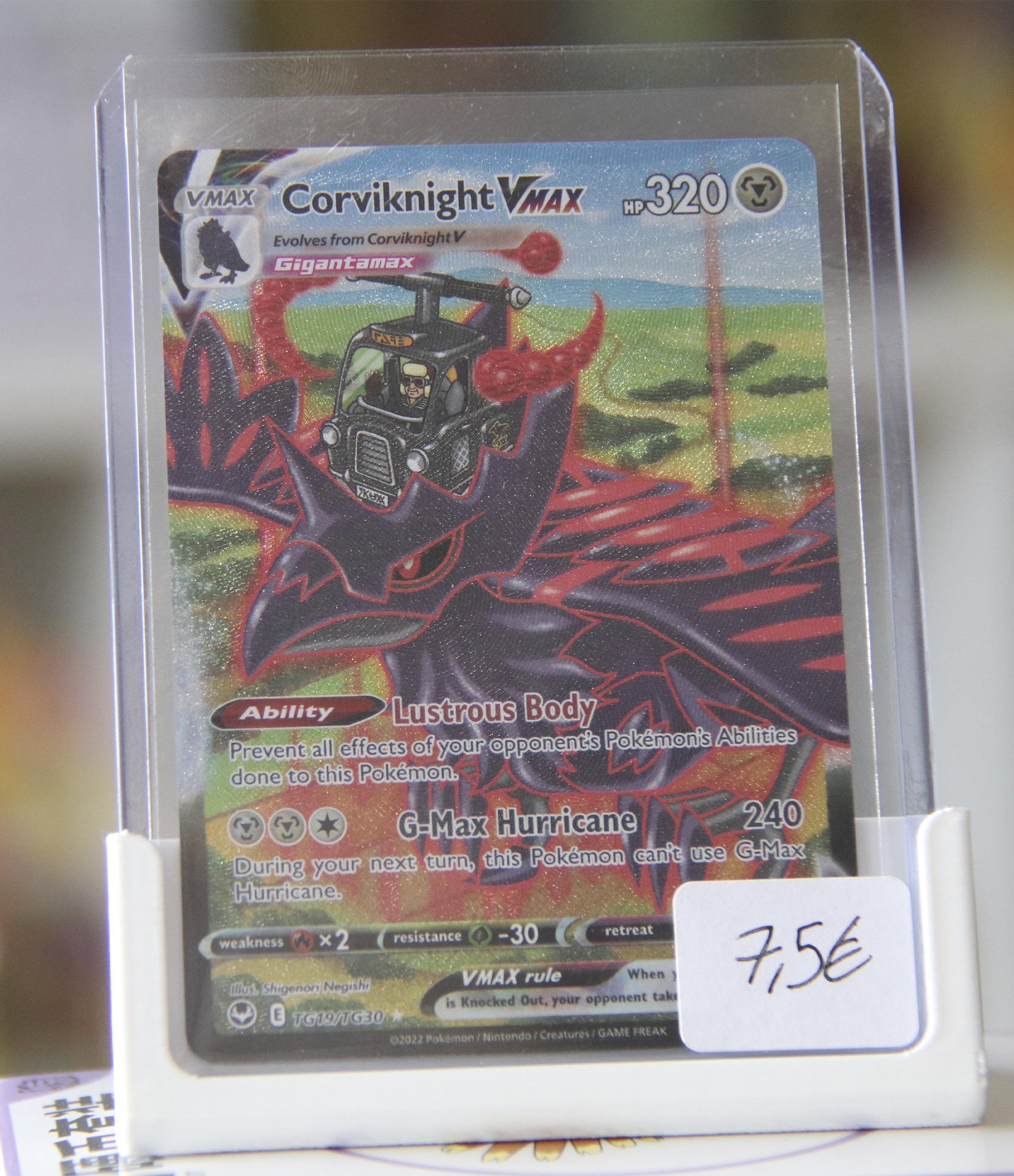 Corviknight VMAX (SIT TG19)