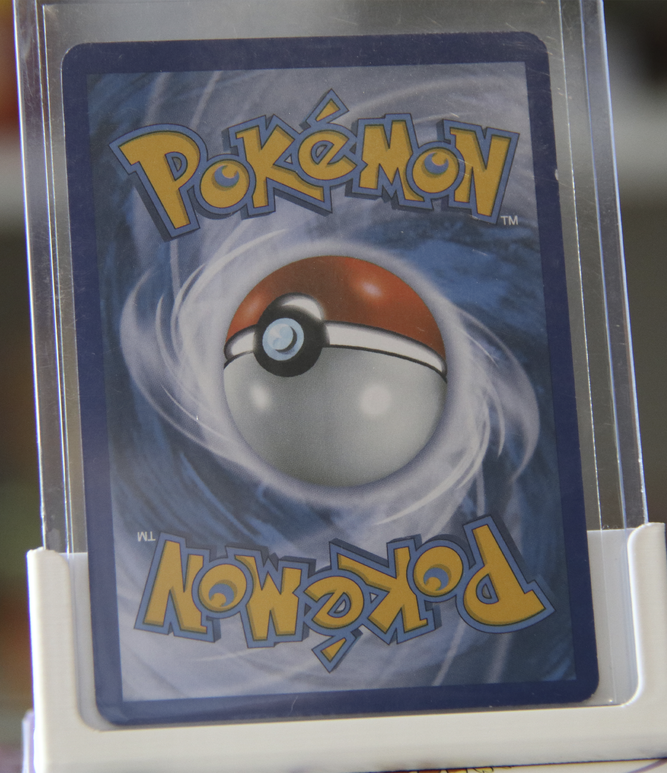 Colección Promos BW Eeve + Evoluciones