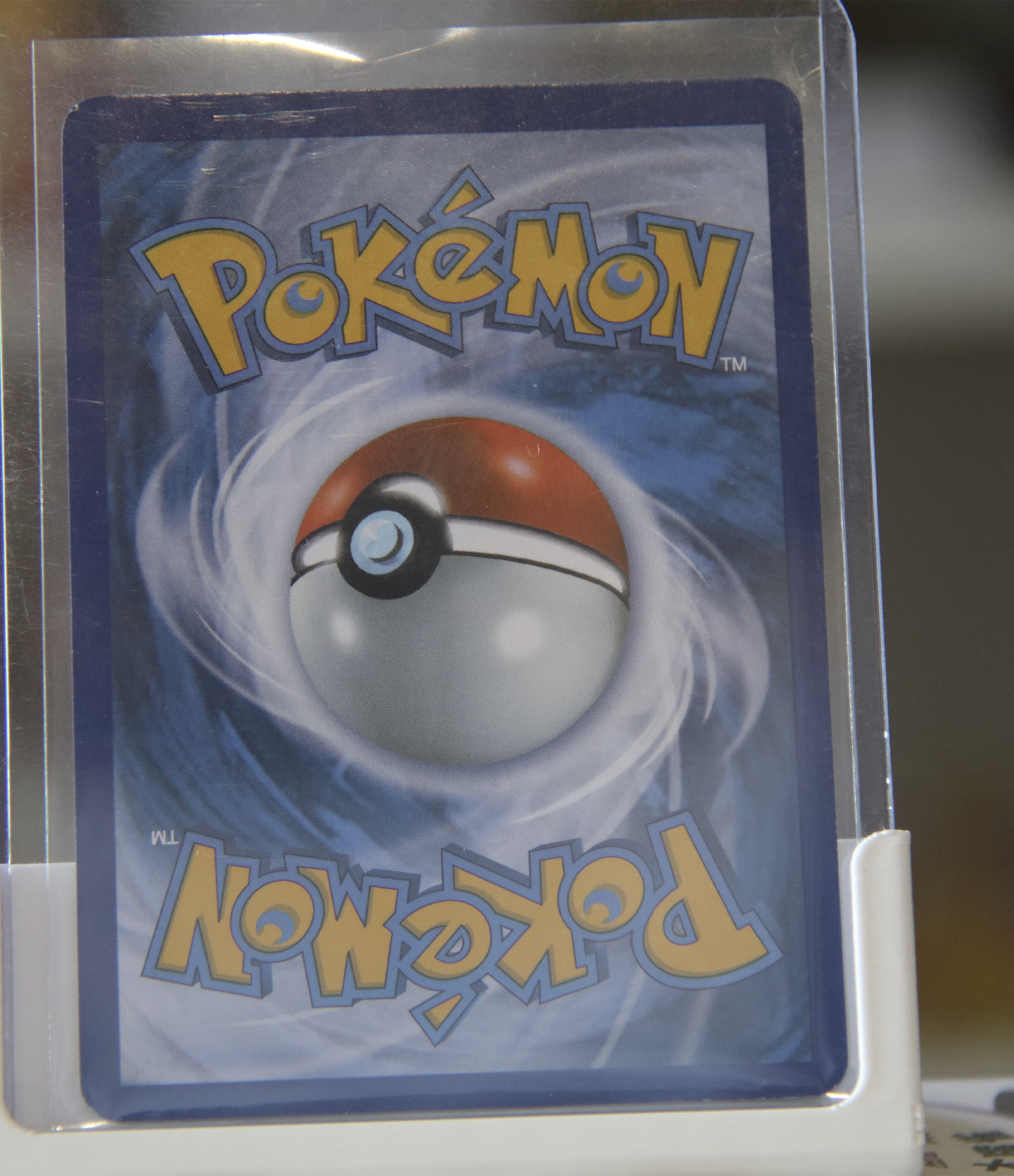 Colección Promos BW Eeve + Evoluciones