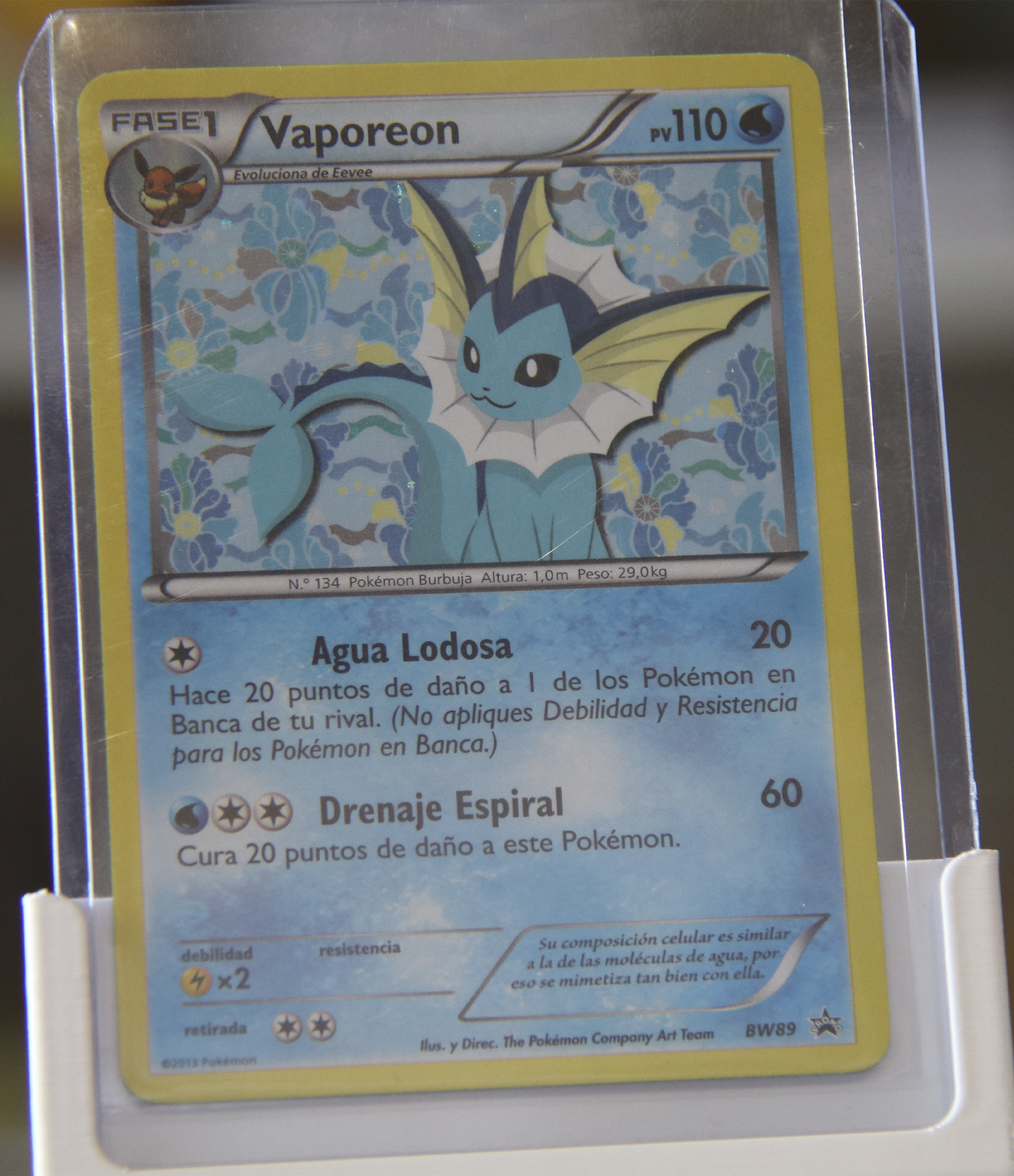 Colección Promos BW Eeve + Evoluciones