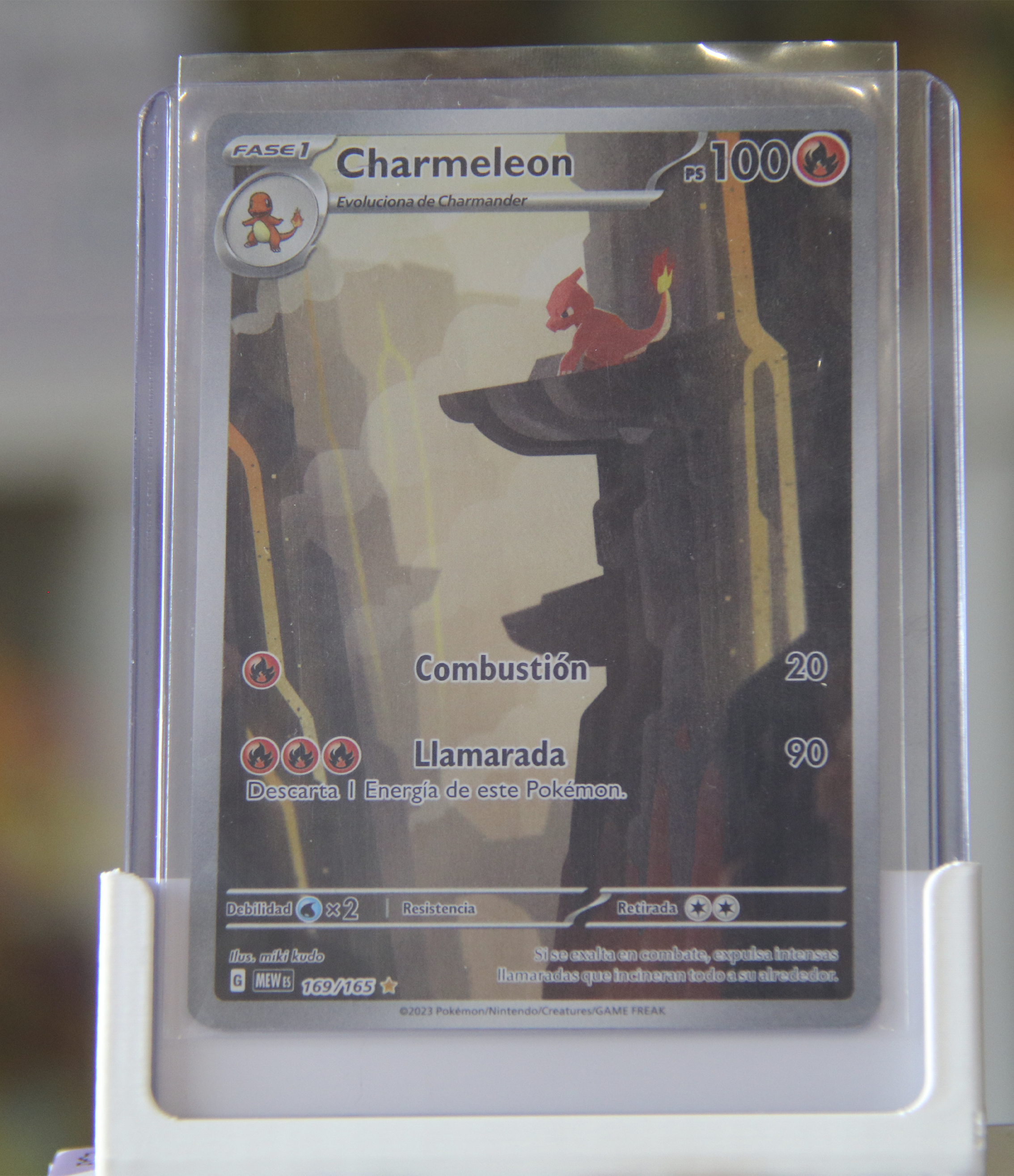 Charmeleon (MEW 169)