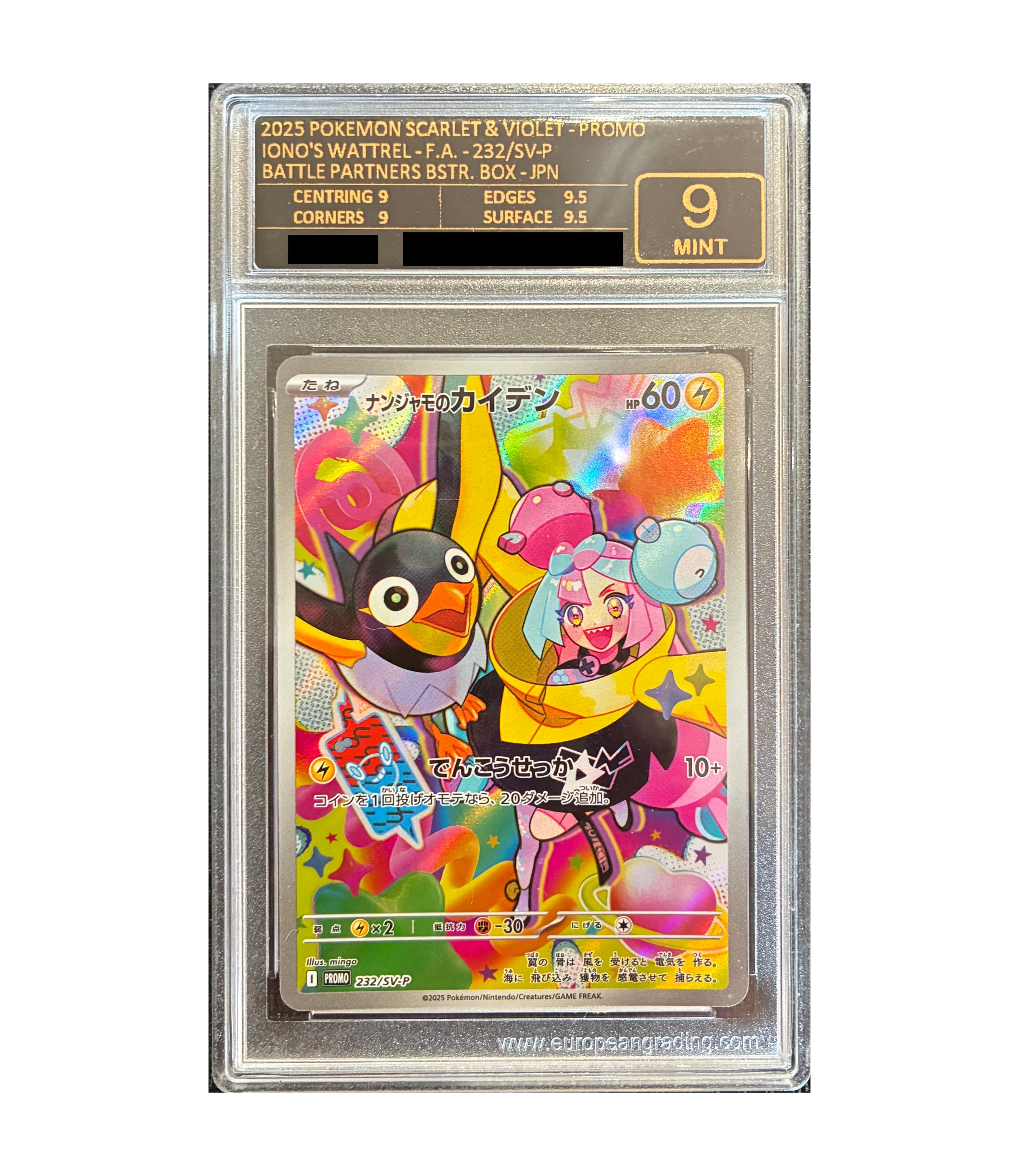 Iono's Wattrel (SV-P 232 JPY) EG