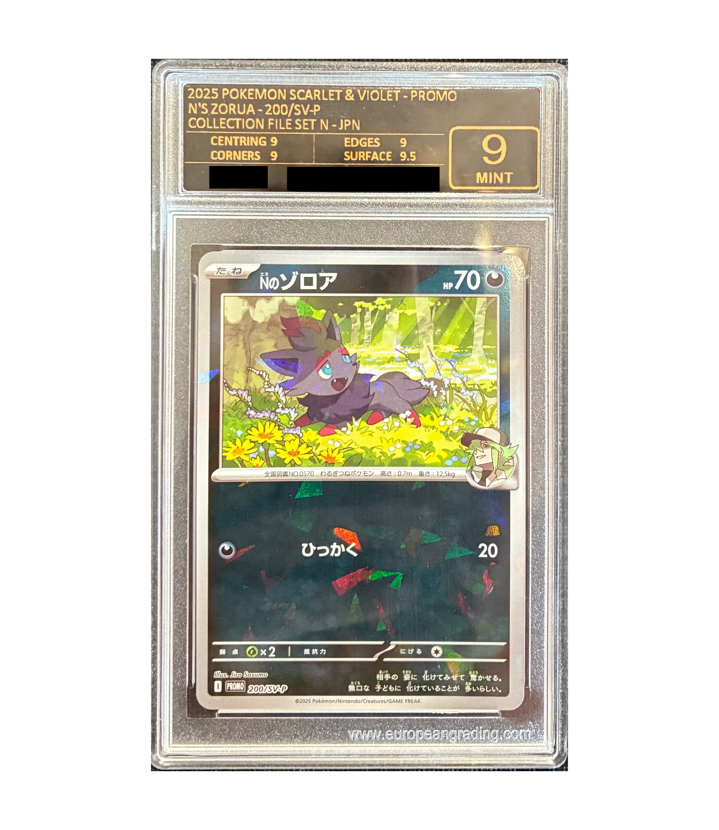 N's Zorua (SV-P 200 JPY) EG