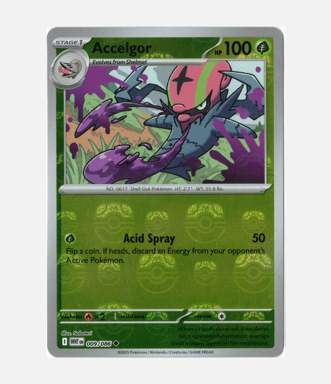 Accelgor Masterball (WHT 009) C-ENG-1