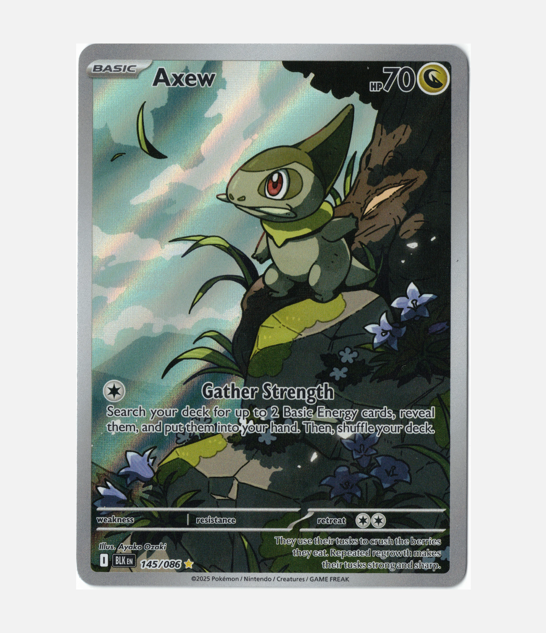 Axew (BLK 145) C-ENG-1