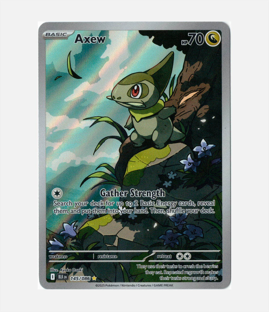 Axew (BLK 145) C-ENG-2