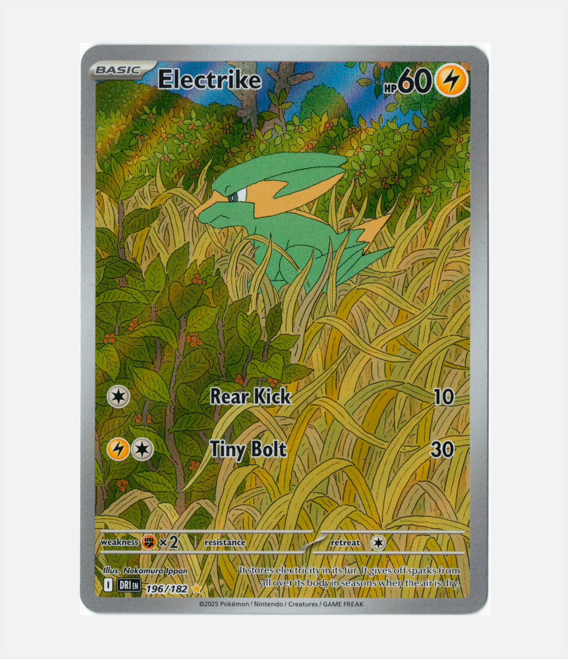 Electrike (DRI 196) C-ENG-1