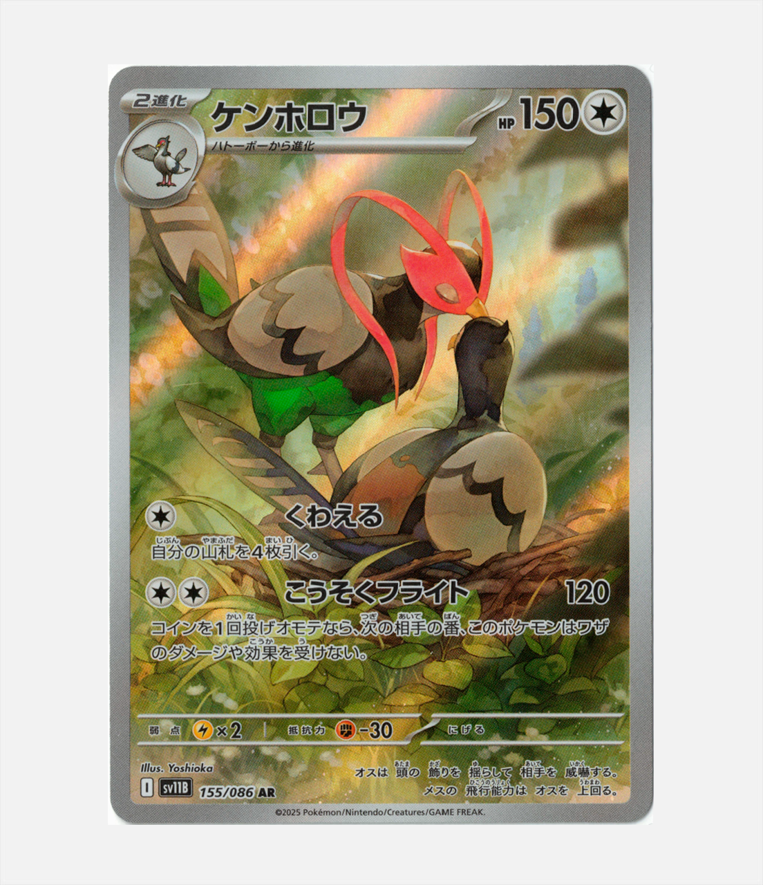 Unfezant (sv11B 155) C-JPY-1