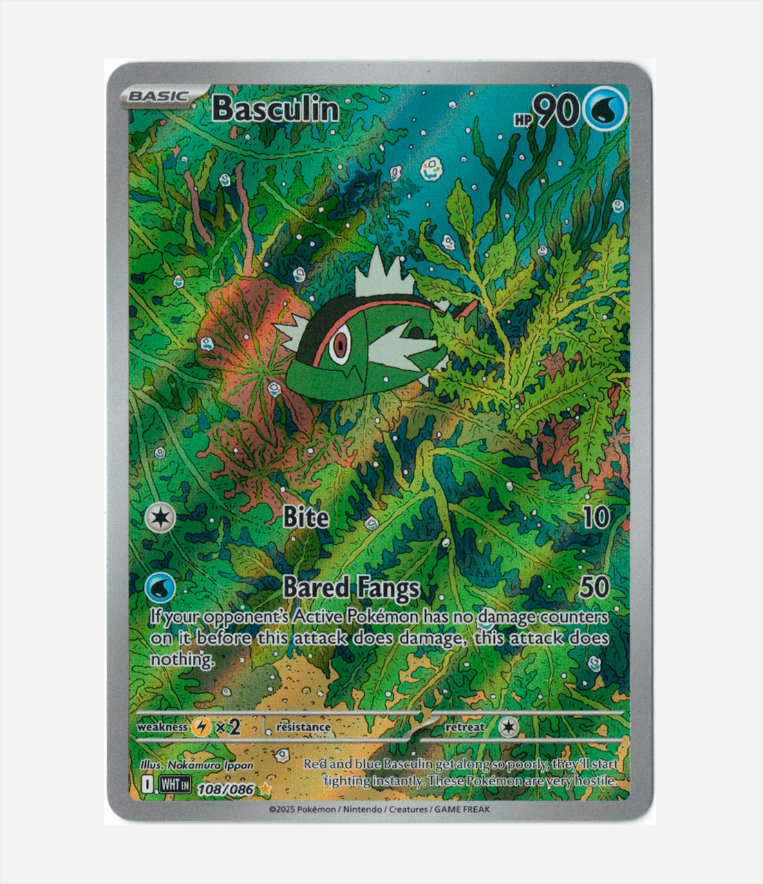 Basculin (WHT 108) C-ENG-1