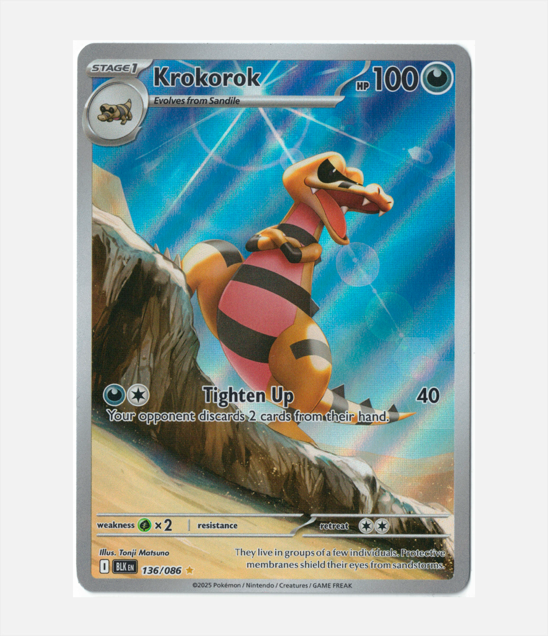 Krokorok (BLK 136) C-ENG-1