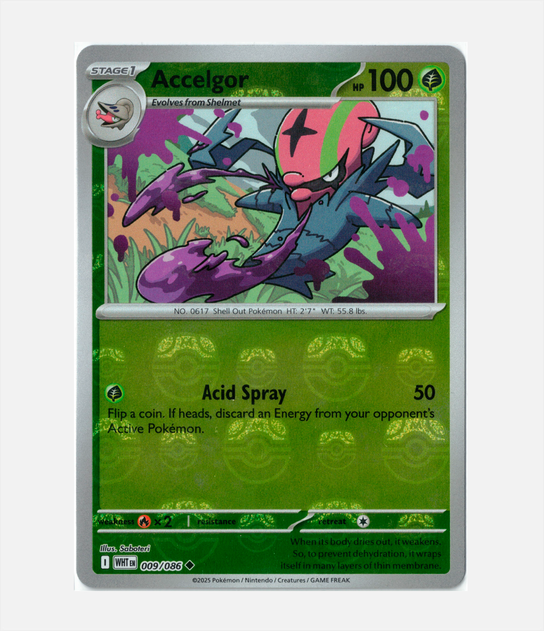 Accelgor (xWHT 009) C-ENG-1