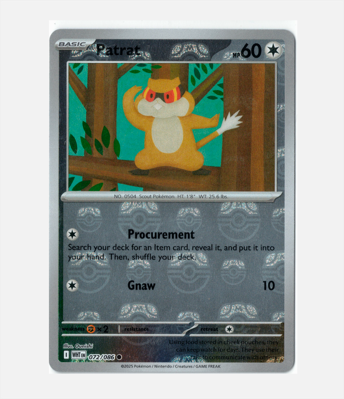 Patrat (xWHT 072) C-ENG-1