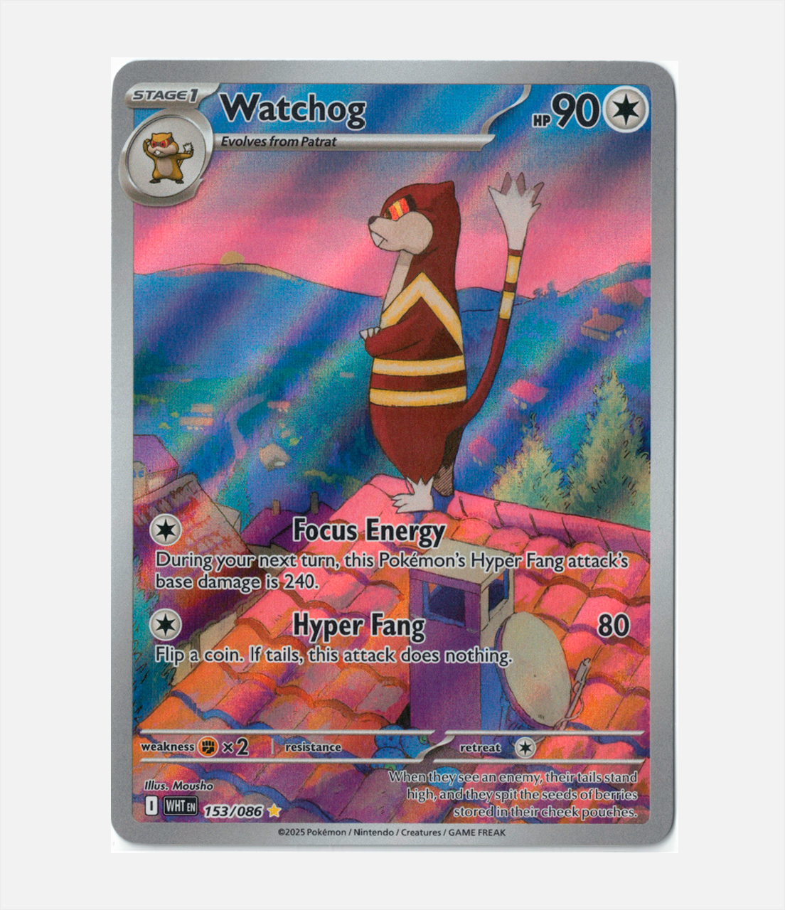 Watchog (WHT 153) C-ENG-1