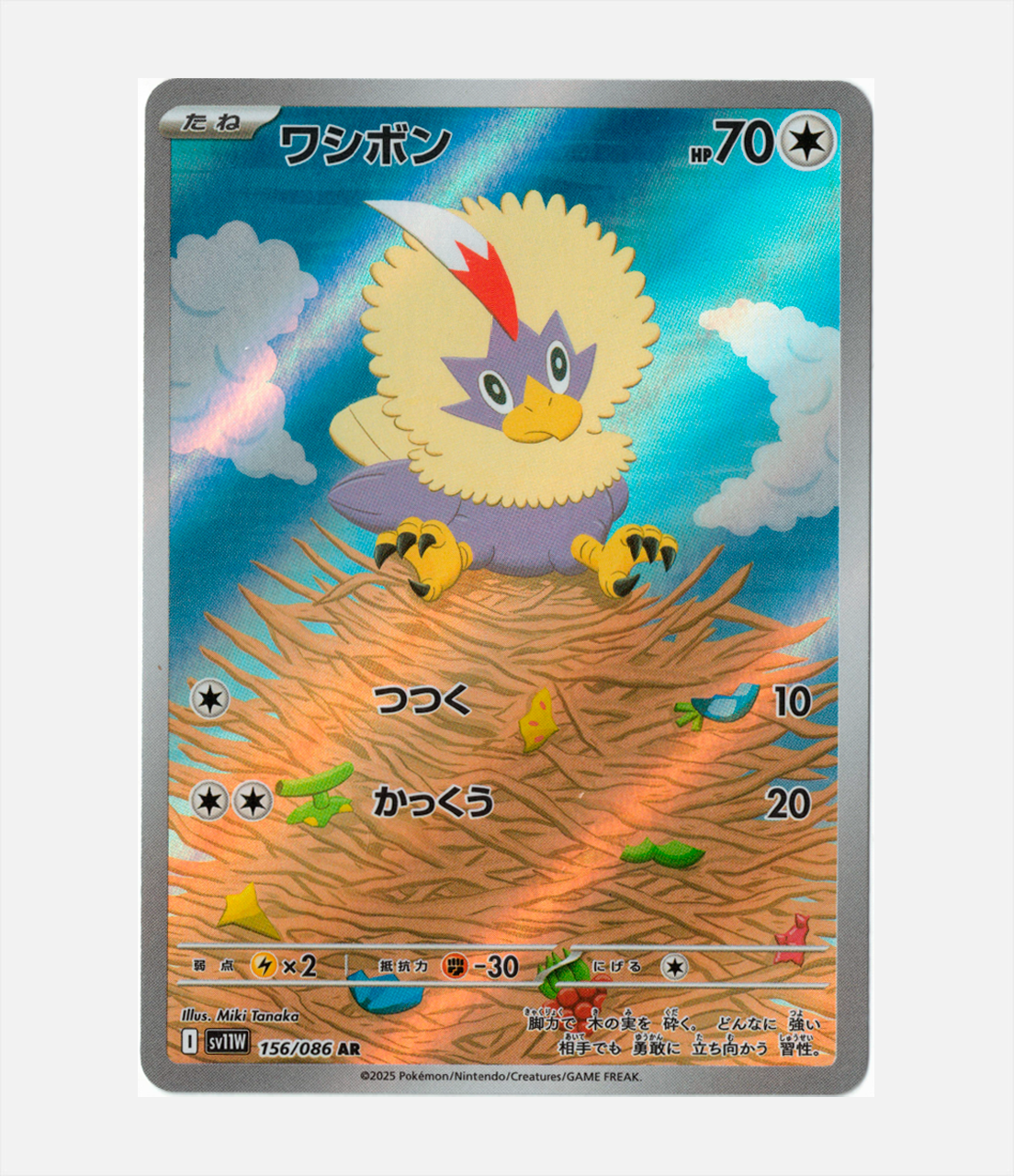Rufflet (sv11W 156) C-JPY-1