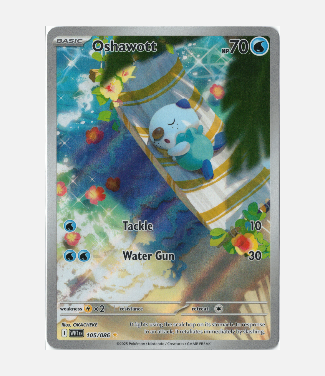 Oshawott (WHT 105) C-ENG-2