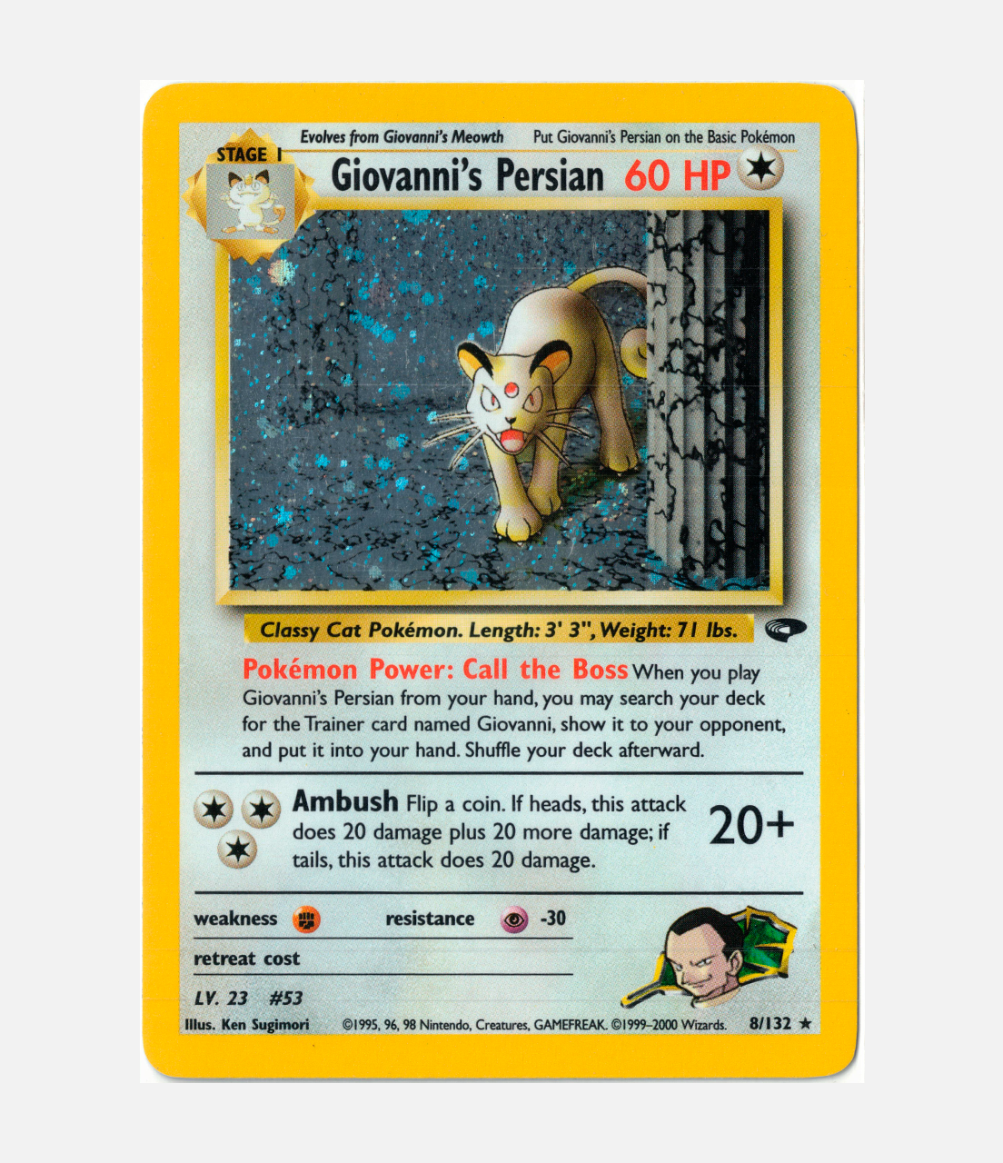 Giovanni's Persian (GC 008) C-ENG-2