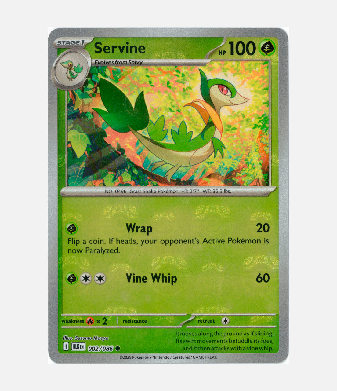 Servine (BLK 002) C-ENG-1