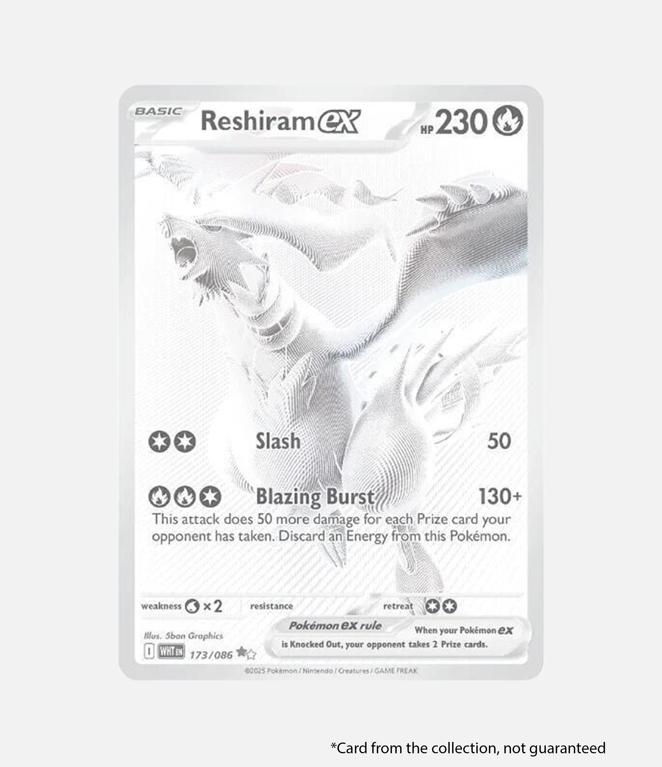 White Flare - Binder Collection ENG