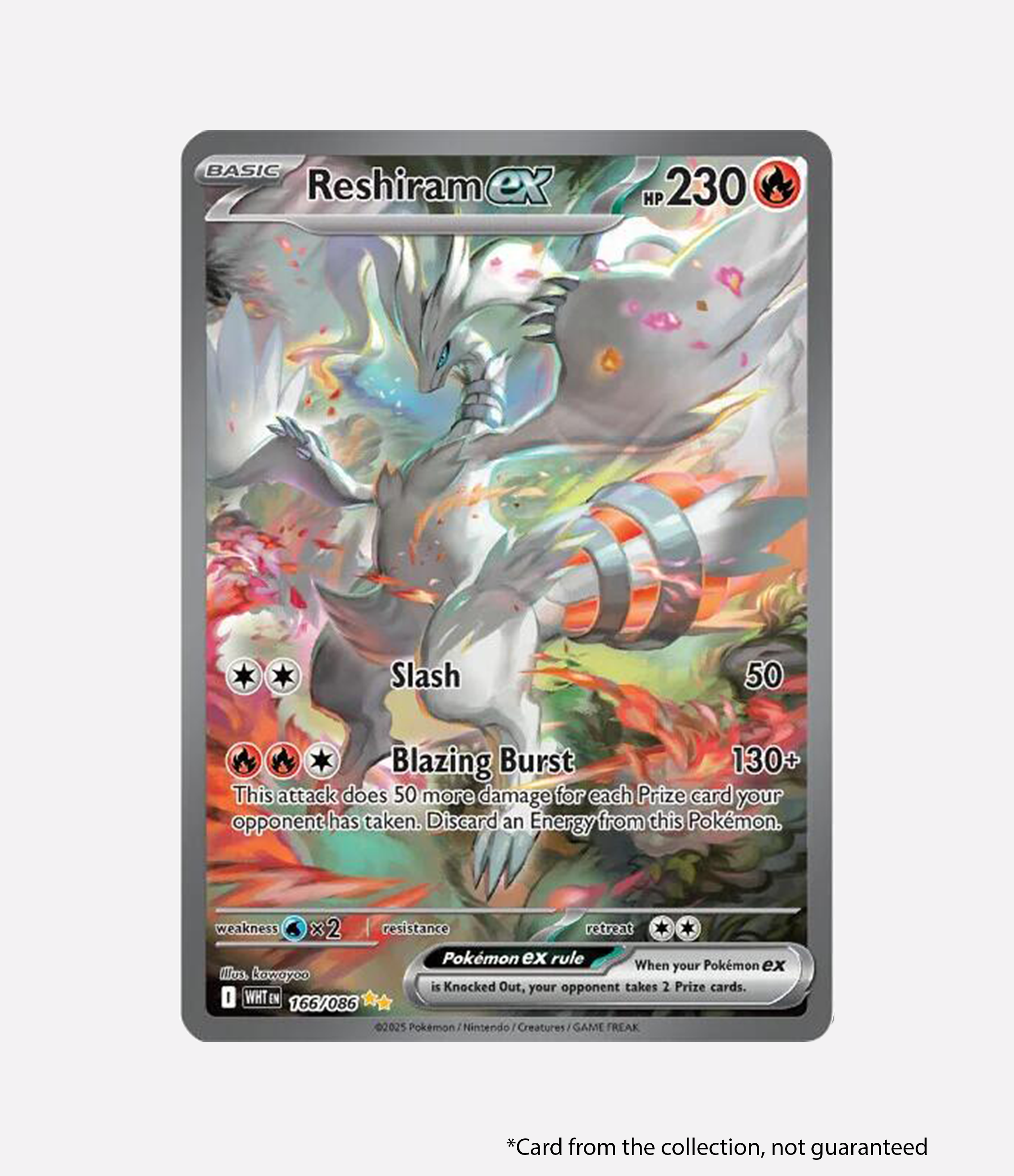 White Flare - Binder Collection ENG