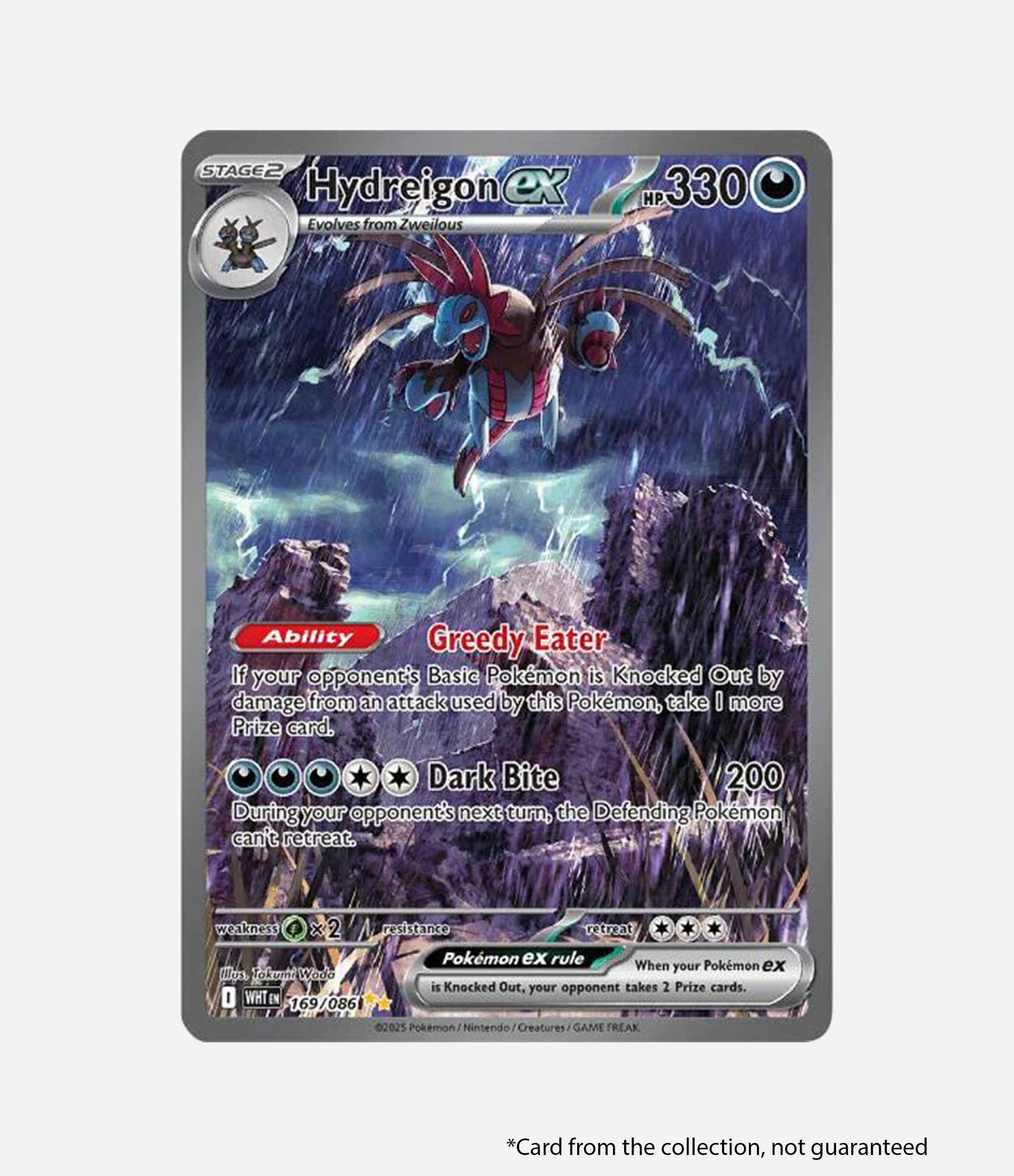 White Flare - Binder Collection ENG