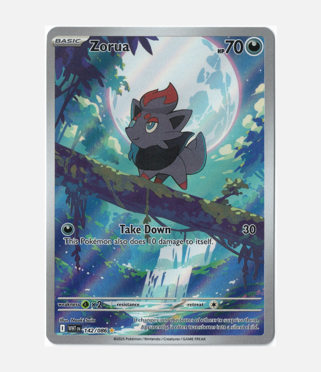 Zorua (WHT 142) C-ENG-2